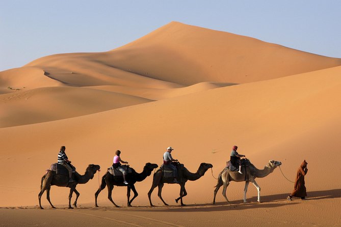 desert foum zguid
