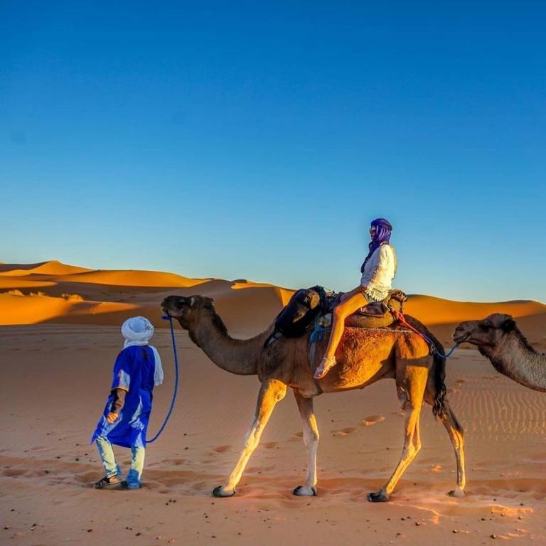 desert foum zguid