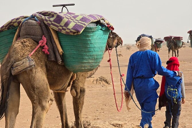desert foum zguid