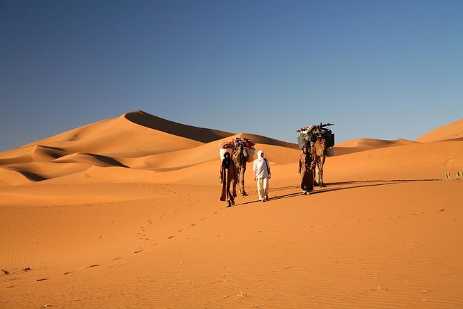 desert foumzguid