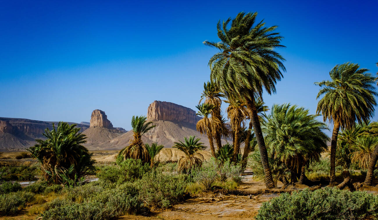 desert foum zguid